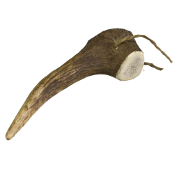 Arquivet - Bois de Cerf M...