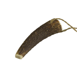 Arquivet - Bois de Cerf S...