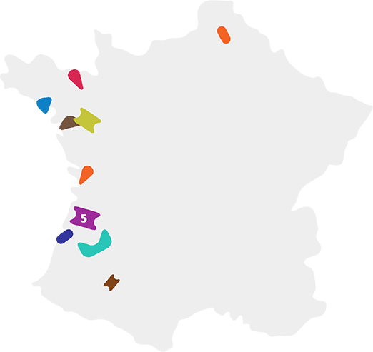Nos Magasins