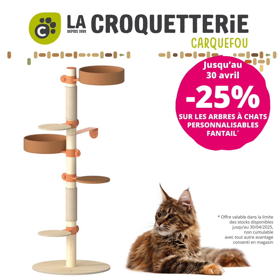 25% de remise sur les arbres à chats