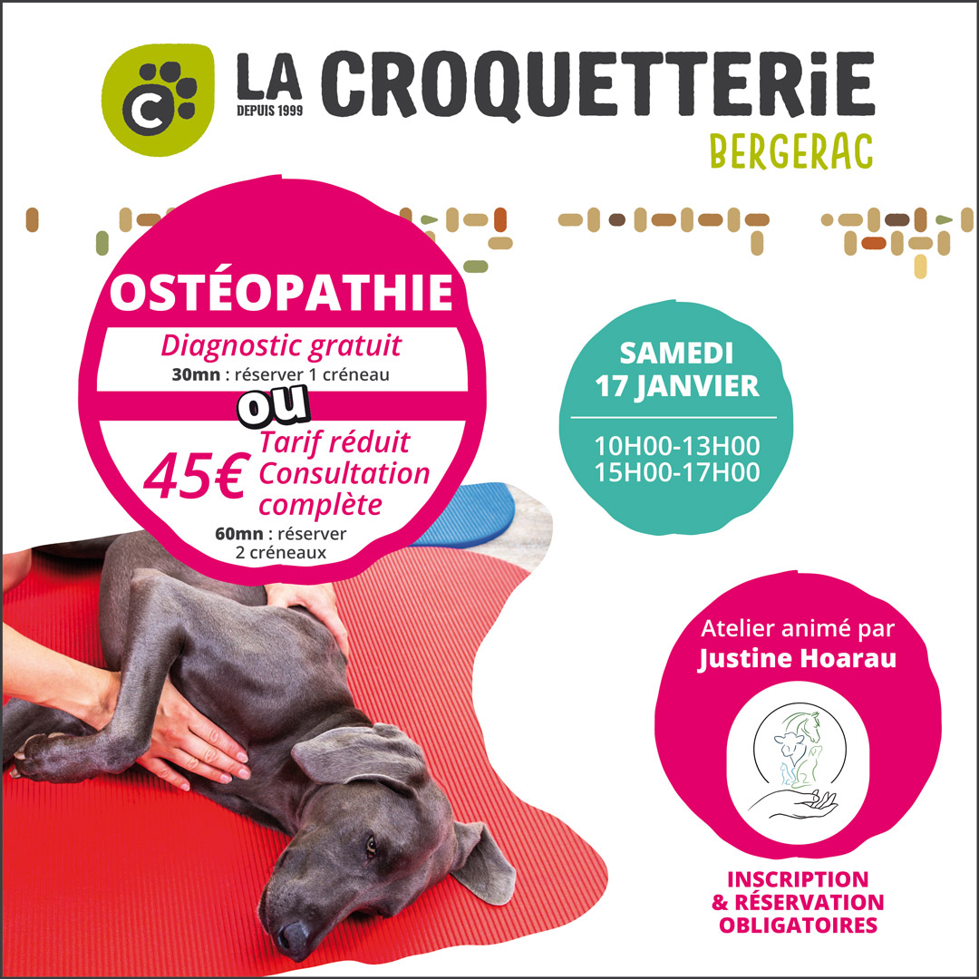 Atelier séance découverte ostéopathie